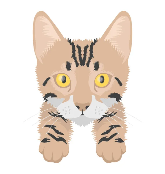 Cat Flat Colored Icon — Stock Vector