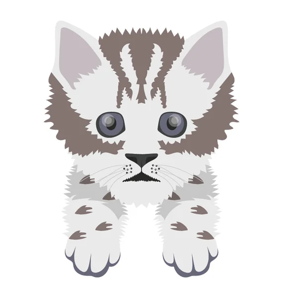 Cat Ploché Barevné Ikony — Stockový vektor
