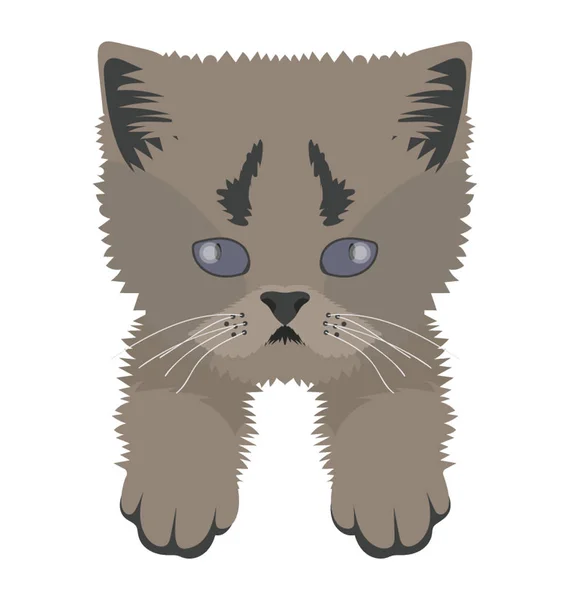 Cat Flat Colored Icon — Stock Vector