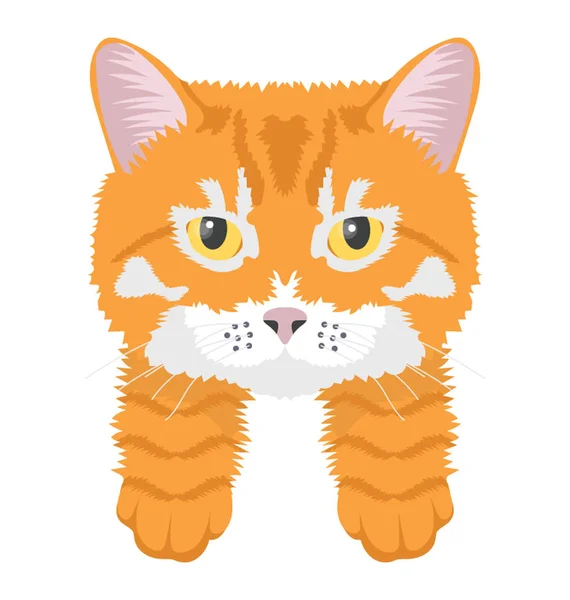 Cat Flat Colored Icon — Stock Vector