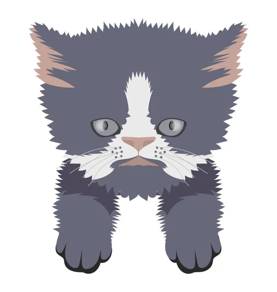 Cat Flat Colored Icon — Stock Vector
