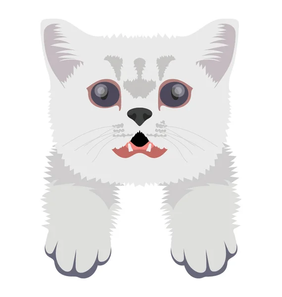 ไอคอนส แบนของแมว — ภาพเวกเตอร์สต็อก