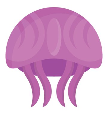 Düz simgesi tasarım denizanası