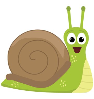 Salyangoz düz renkli simge 