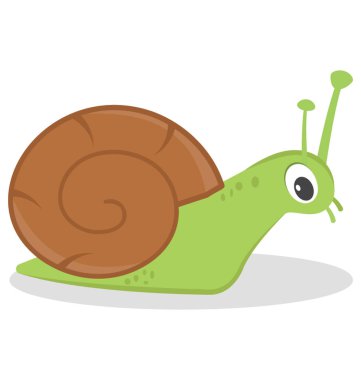 Salyangoz düz renkli simge 