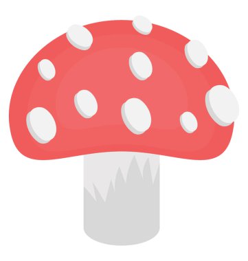 Mantar denilen bir yenilebilir mantar bitki 