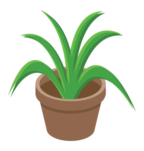 Une Plante Pot Pour Décoration Maison — Image vectorielle