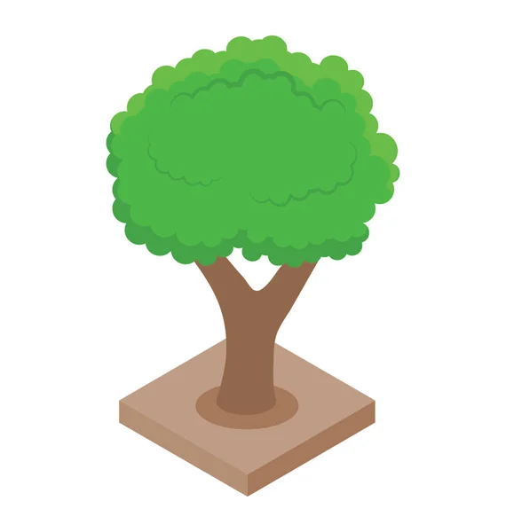 Uma Árvore Uma Representação Natureza Floresta —  Vetores de Stock