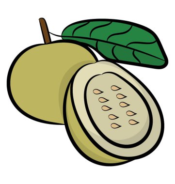 Taze yeşil kesilerek Kivi Meyve simgesi