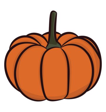 Sağlıklı sebze ve meyve, kabak 