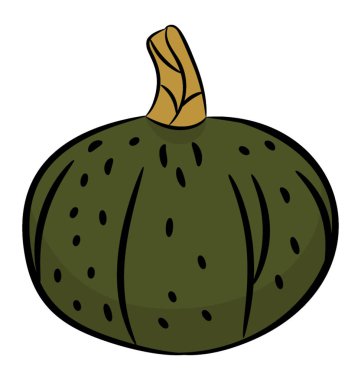 Sağlıklı sebze ve meyve, kabak