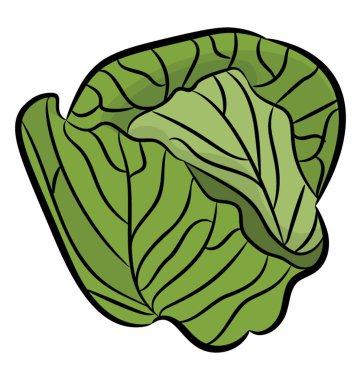 El simgesi tasarım bir lahana çekilmiş