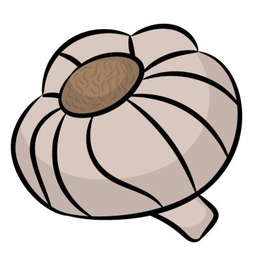 Elle çizilmiş simgesi tasarım diş sarımsak