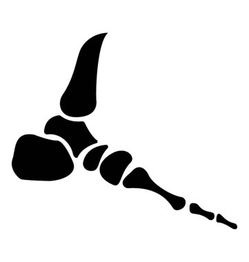 Kırık kemikler, insan vücudu anatomisi simgesi