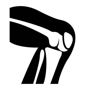 diz eklem simgesi vektörü