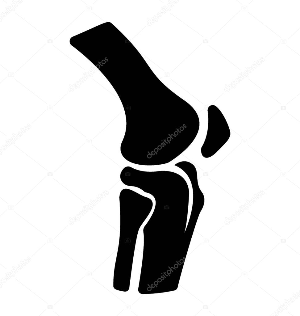 Knee joint icon vector