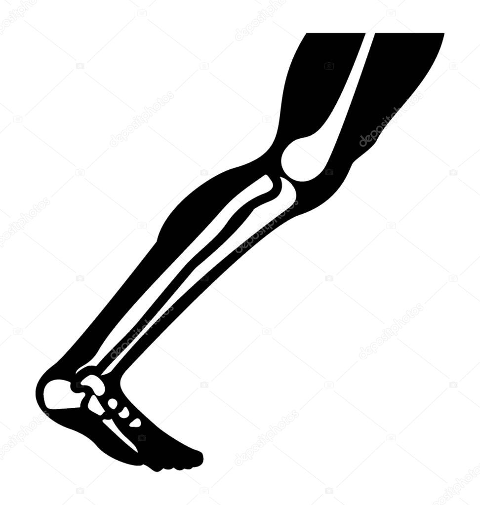 Knee joint icon vector