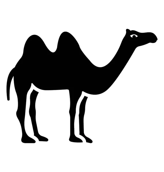 砂漠の動物 ラクダの固体アイコン — ストックベクタ