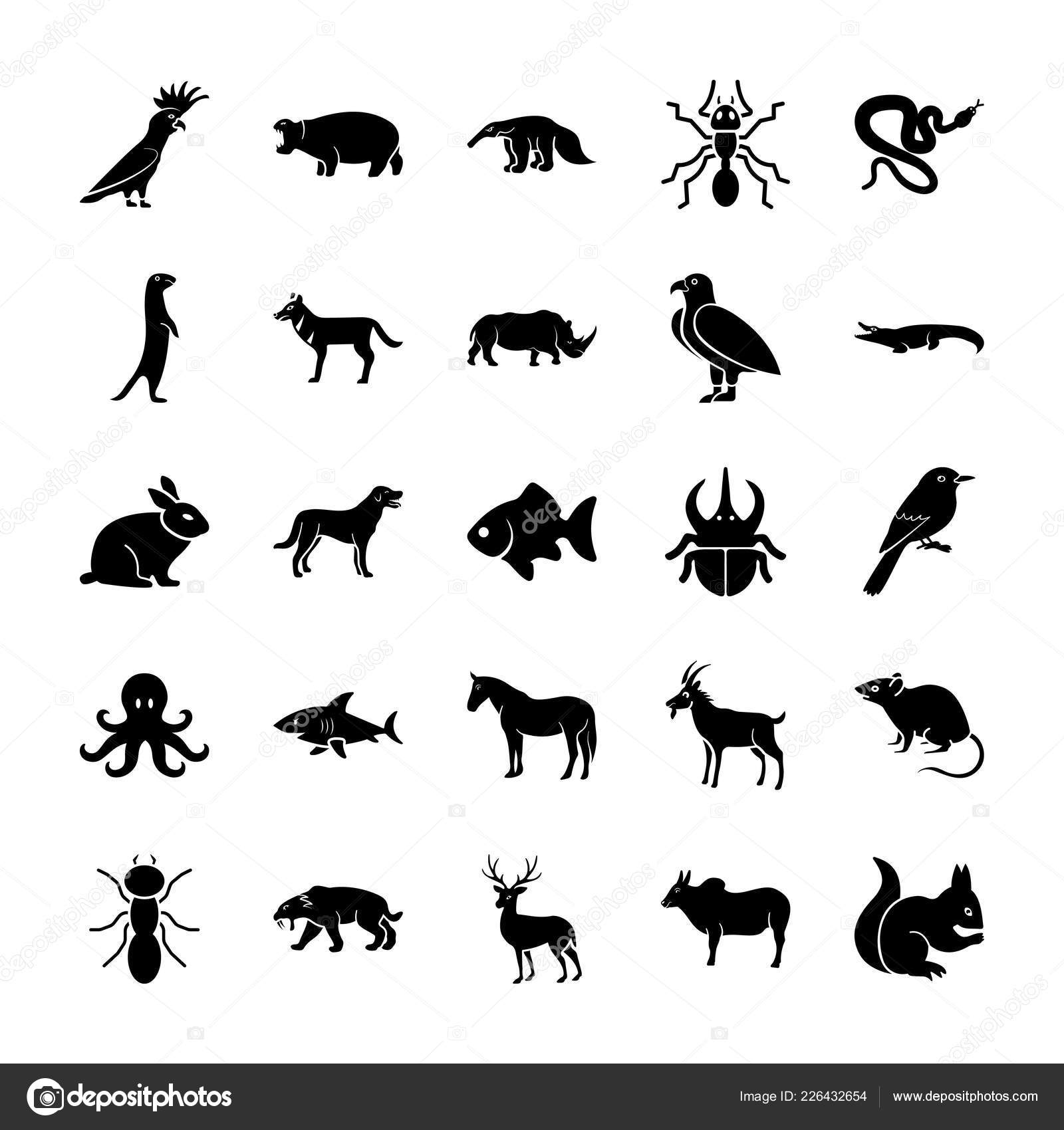 Outstanding Amazing Animals Solid Icons Pack Having Vectors Related  Wildlife Stock Vector Image by ©vectorsmarket #226432654