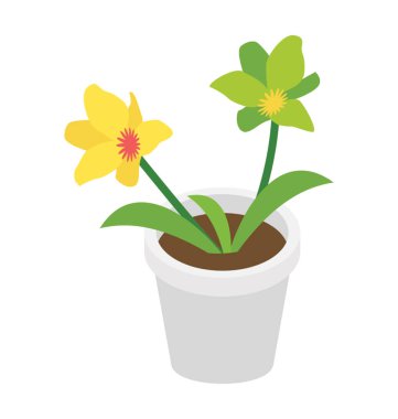 Pot bitki daire izometrik simgesi