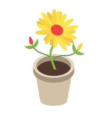 Pot bitki daire izometrik simgesi