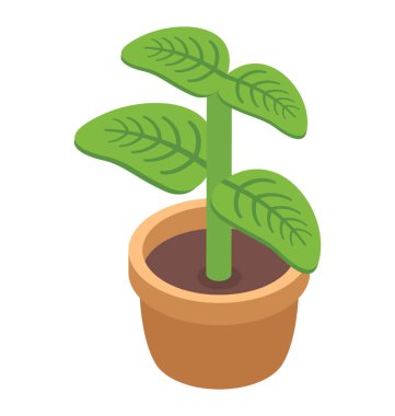 Dekoratif bitki izometrik simgesi tasarım