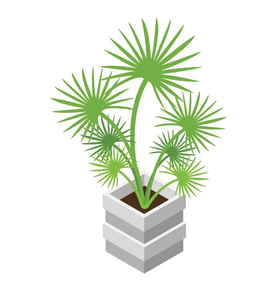 Decorative Plant Isometric Icon Design — Stock Vector
