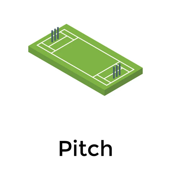 Vecteur Isométrique Icône Terrain Cricket — Image vectorielle
