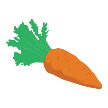 Havuç, besleyici sebze vektörü izometrik tasarım.
