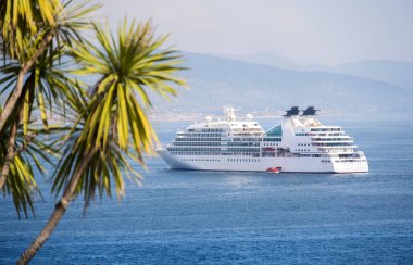 okyanus gemisi cruise gemi avuç içi hava görünümünü transatlantik arka plan