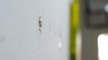 duvar macun tüp sıva eller closeup mala