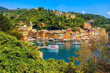 Portofino canlı pitoresk evleri Ligurya renkli şehir - Cenova - İtalya