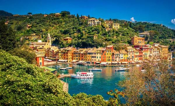 Portofino pintoresca ciudad colorida liguria - Génova - Italia — Foto de Stock