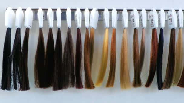 Hair dye strands samples hair dresser — Stock Video