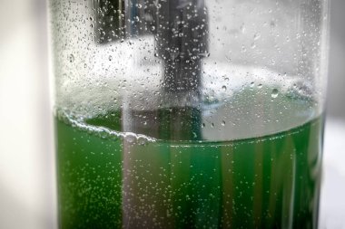 Spirulina sıvı yeşil superfood - gıda ek vitamin protein ve beta karoten kaynak