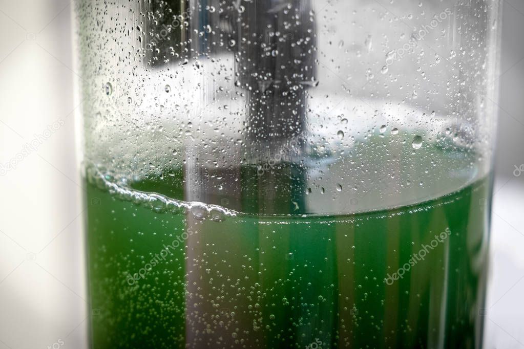 spirulina liquid green superfood - food supplement vitamin protein and beta carotene source