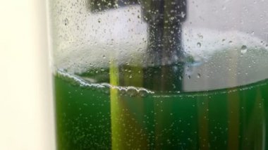 Illustrator el çizim ejderha sketchbook karalama defteri