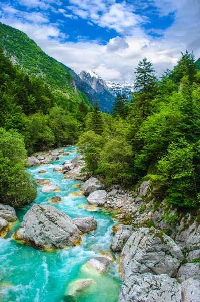 spor arka plan nehir ders Vadisi dikey doğa panorama rafting