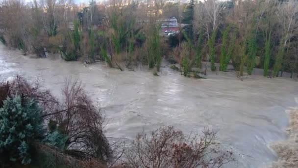 Наводнение в реке — стоковое видео