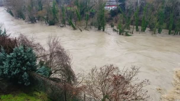 Inundación desbordante del río — Vídeo de stock