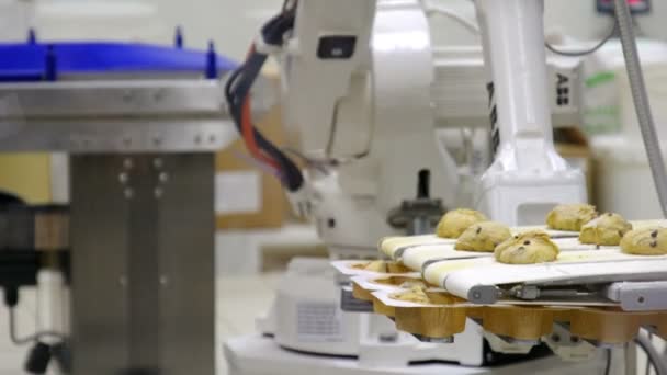 Ipari robot gép keksz gyár kupa sütemények — Stock videók