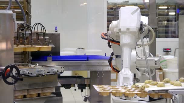 Industrial robot machine biscuit factory cup cakes — Stock Video