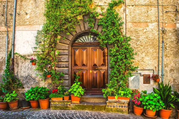 Planta de vid en una puerta de la casa italiana — Foto de Stock