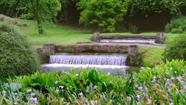 Nymph kert vagy Giardino della Ninfa a Lazio-Olaszország mágikus Eden kert szökőkút 4k — Stock videók