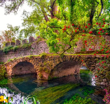 gül ve nehir ile canlı eden renkli bahçede ortaçağ taş köprü 