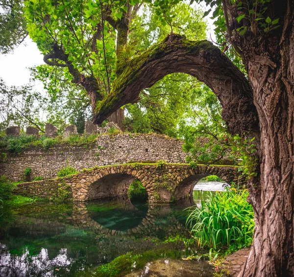 Fantasie Fluss Brücke Baum Stamm Zweig — Stockfoto