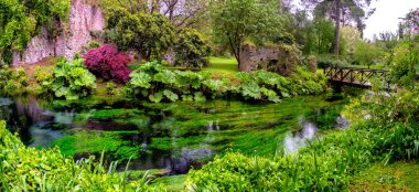 ahşap köprü panoramik ile nehir suyu ve bahçede yemyeşil vegetetasyon Misk