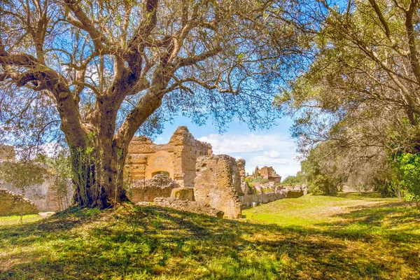 Italiaanse platteland oude ruïnes boomtakken op zonnige dag in Tivoli — Stockfoto
