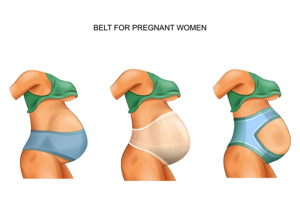 Пояс для беременных женщин — стоковый вектор