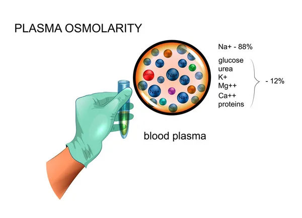 Plasma osmolariteit, samenstelling — Stockvector